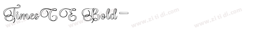 TimesCE Bold字体转换